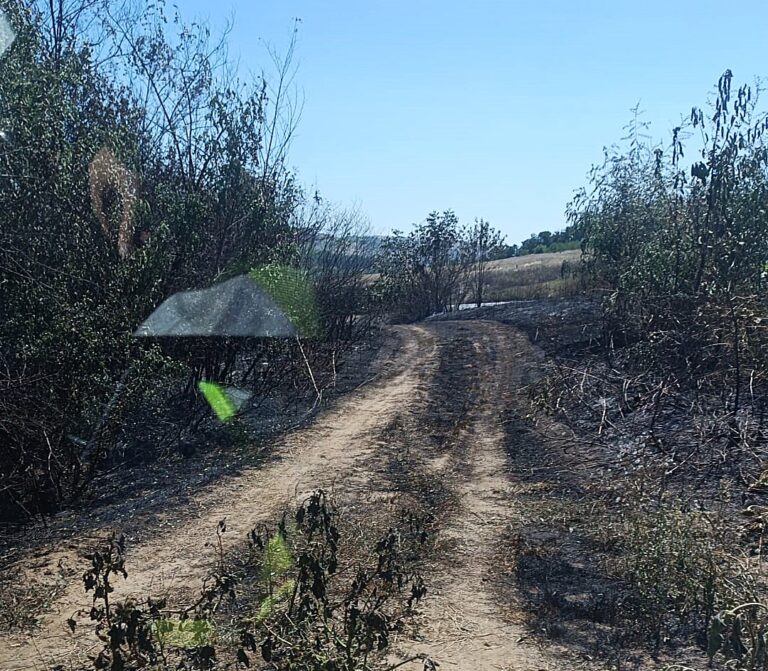 Duminică de foc în județul Vaslui: șase incendii de vegetație, în doar câteva ore