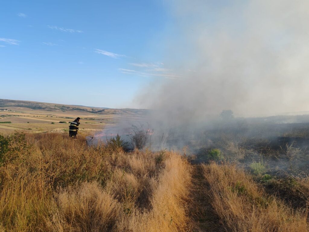 incendiu vegetatie bogdanesti 3