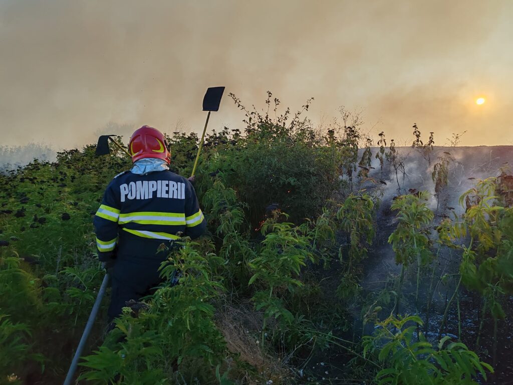 incendiu vegetatie bogdanesti 4