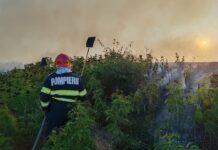 Alertă la Moara Grecilor, în Vaslui! 5.000 de metri pătrați au ars în apropierea unei stații GPL