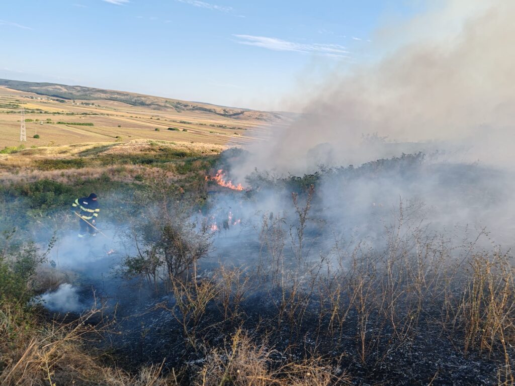 incendiu vegetatie bogdanesti 5