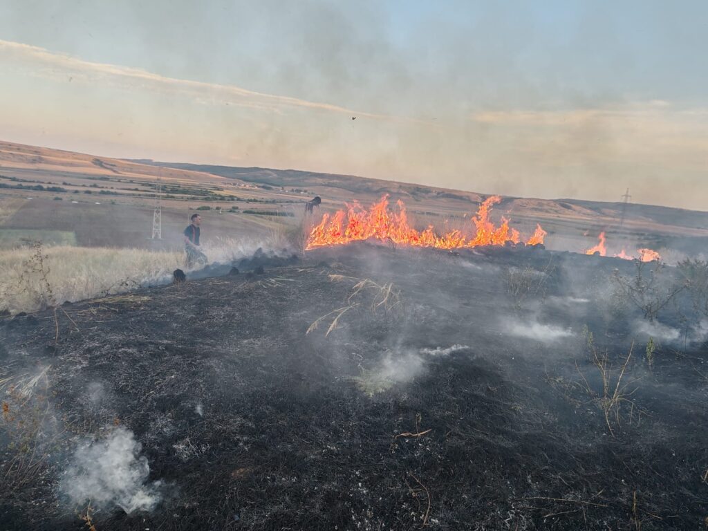 incendiu vegetatie bogdanesti 6