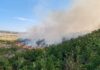 VIDEO Pădure de salcâm, amenințată de un incendiu izbucnit la Draxeni, luni