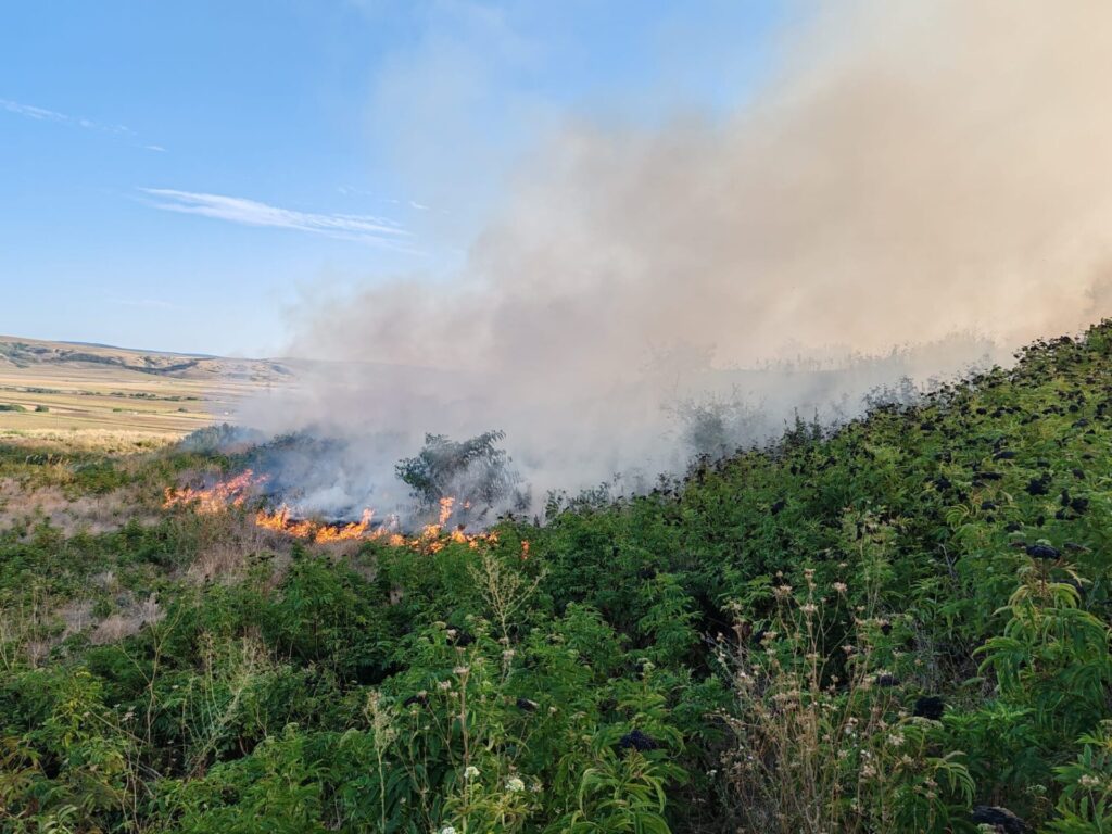 incendiu vegetatie bogdanesti 7