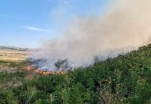 VIDEO Pădure de salcâm, amenințată de un incendiu izbucnit la Draxeni, luni