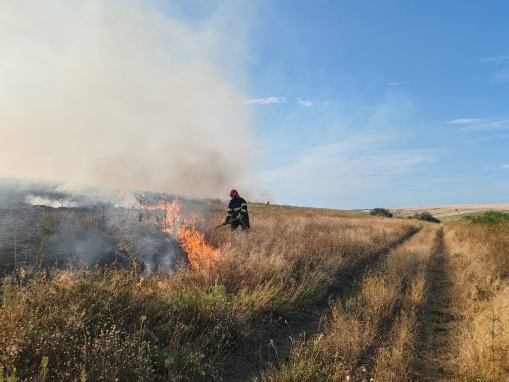incendiu vegetatie bogdanesti 8