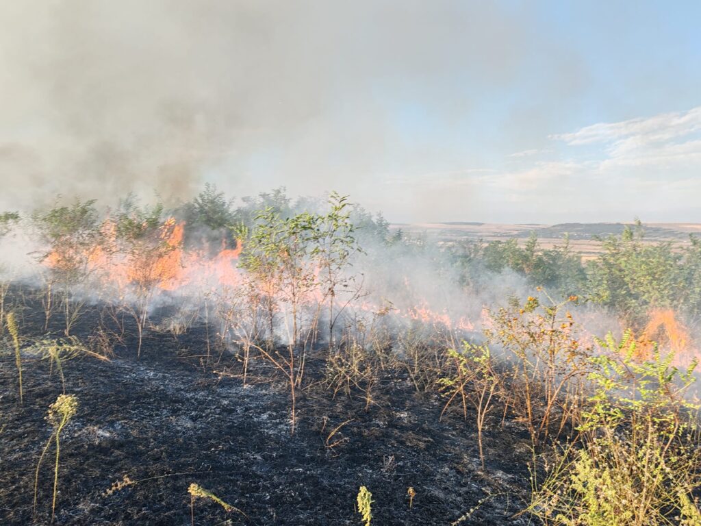 incendiu vegetatie bogdanesti 9