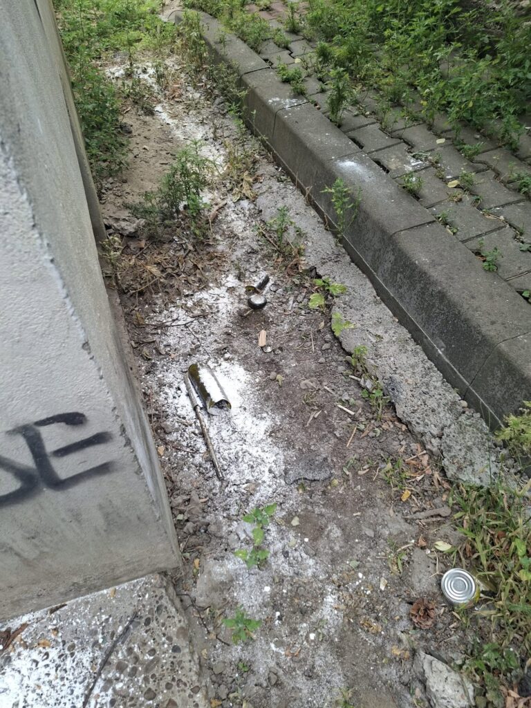 pisici vaslui otrava 2