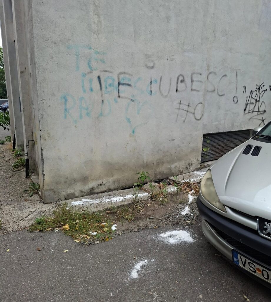 pisici vaslui otrava 3