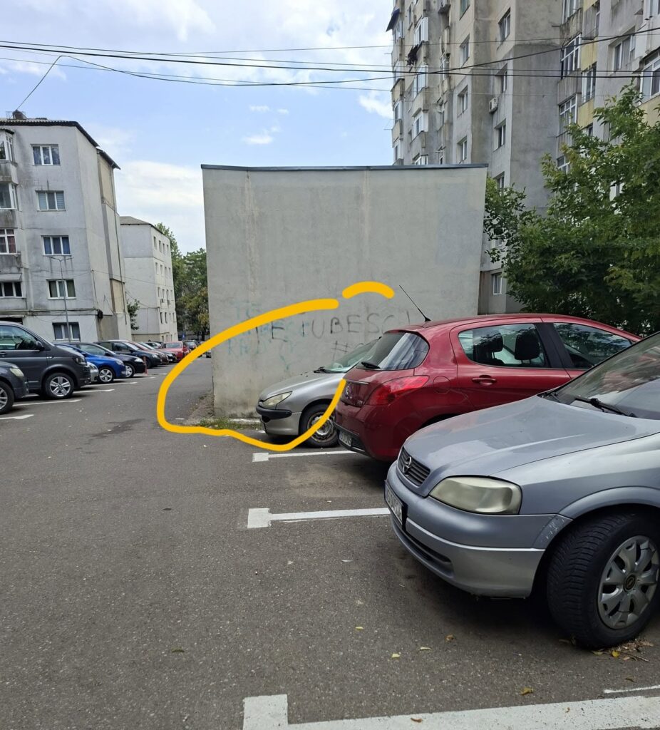pisici vaslui otrava 5