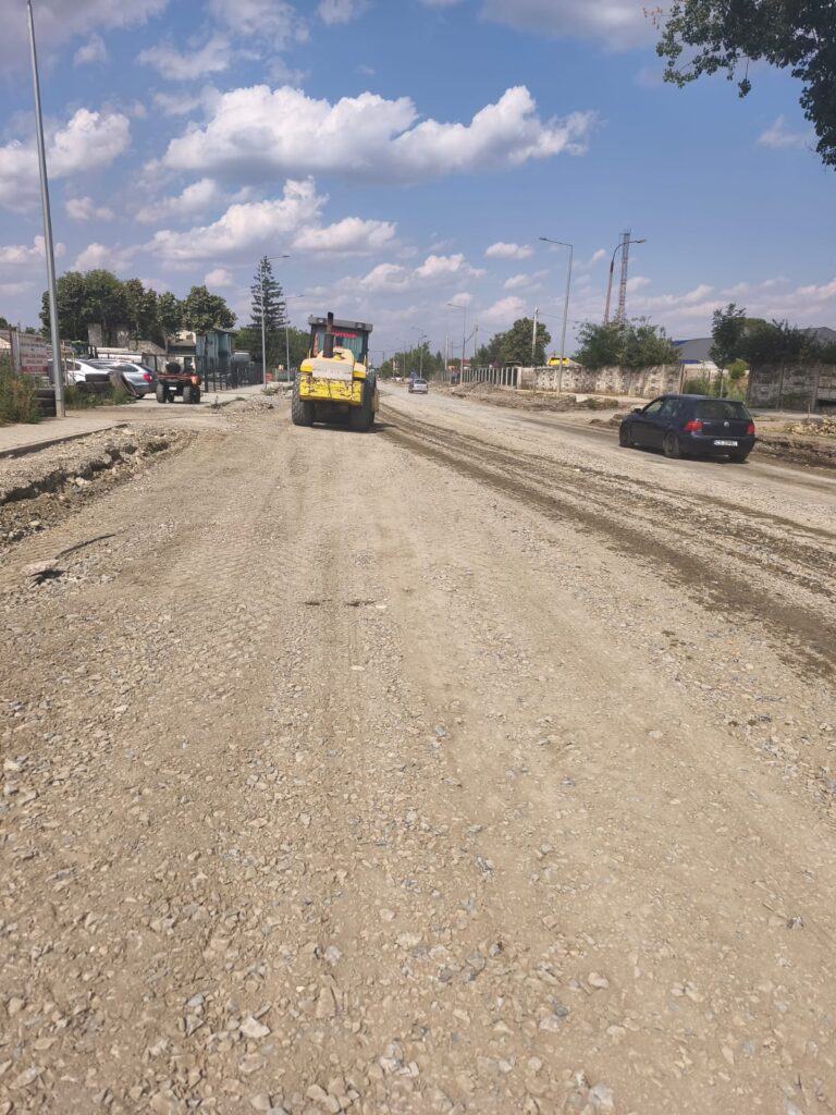 tecuciului nomis 2003 5