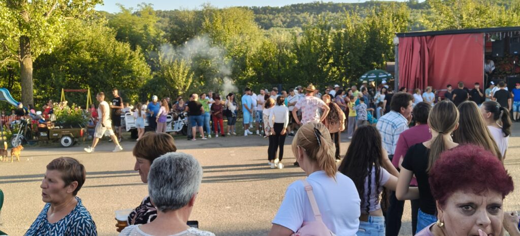 ziua costesti 3