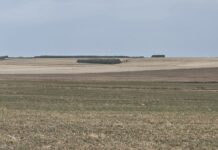 Dronă cu explozibil, găsită la Viișoara