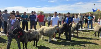 VIDEO La doar 14 ani, Ionuț Lupu a fost premiat la Expo Zoo Vaslui. Cine sunt crescătorii care au impresionat juriul