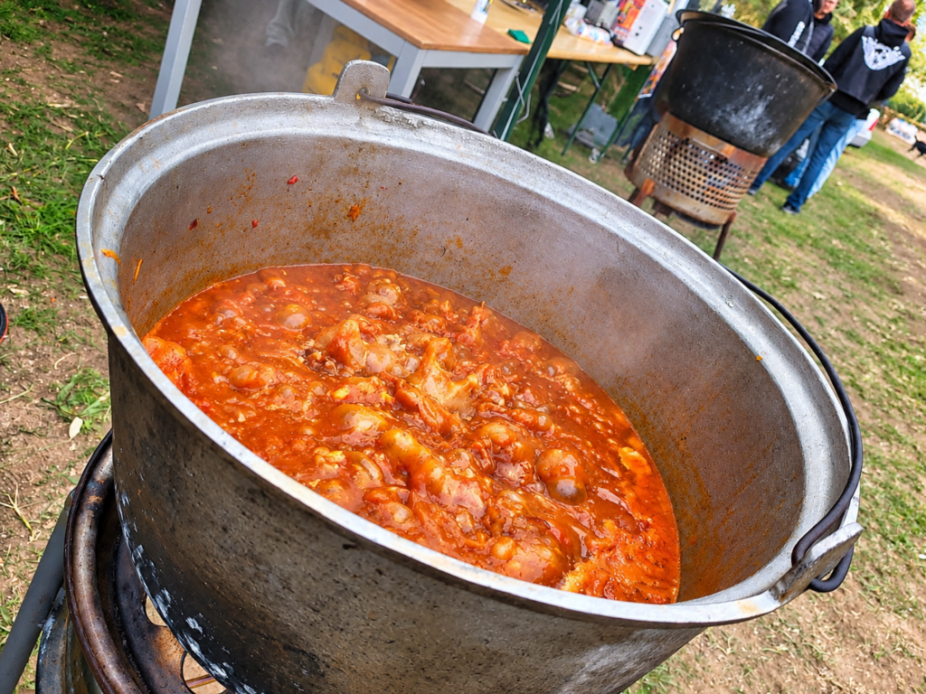 festivalul ceaunelor 002