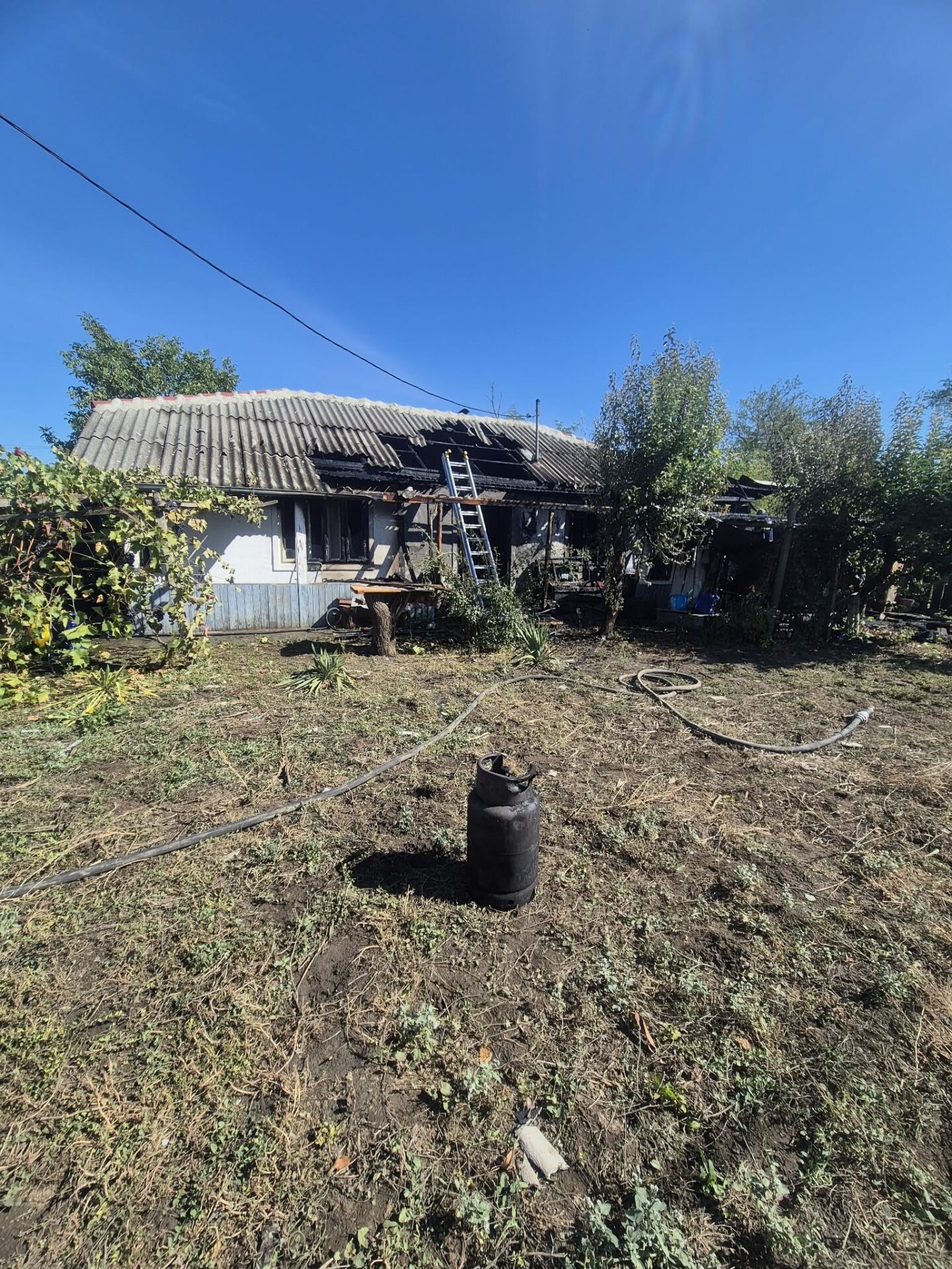 incendiu berezeni 56