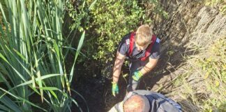 MÂNZ SALVAT de pompierii vasluieni, dintr-un șanț plin cu apă și noroi, zona Delea